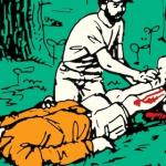 本周技能：如何救治休克患者