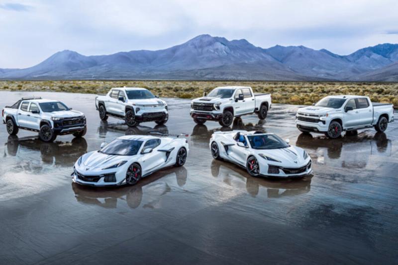 Land Rover Classic Defender V8 Octa Colours 6