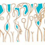 我们何时以及如何迷恋上了胸部？答案或许让你意想不到