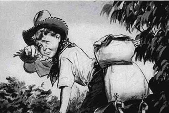 我如何戒掉咖啡因，成为更好的自己