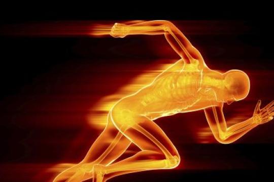 播客第552期：如何优化你的新陈代谢