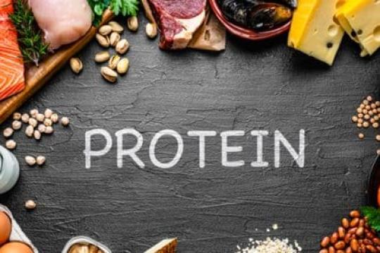 播客 #937：蛋白质——你需要了解的一切