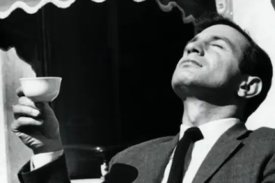 为什么你应该成为太阳的崇拜者