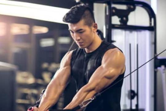 如何利用拉力器/功能训练器进行全身锻炼