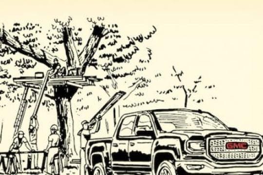 树屋建造的注意事项与建议