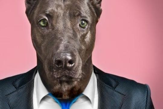 想知道哪种动物最能代表你吗？来参加我们的男性吉祥物测验吧！