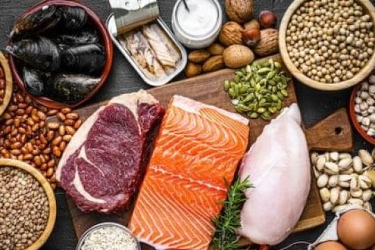 利用蛋白质杠杆假说有效减肥