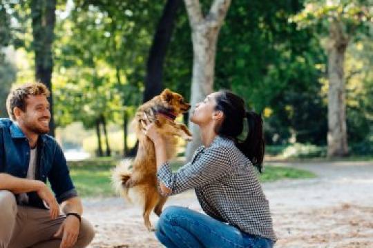 用这些实用开场白轻松开启约会对话