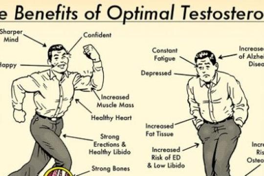 睾酮周：优化睾酮的多重益处