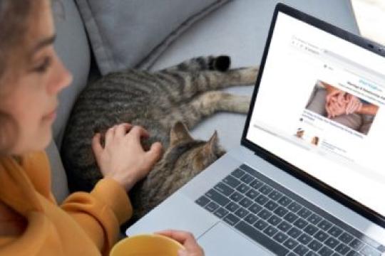 15个最佳在线情感关系建议网站推荐