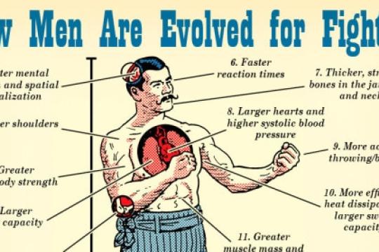 科学揭示男性为何天生适合战斗