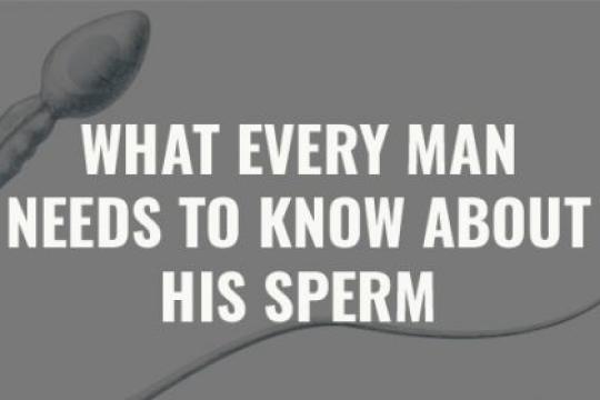 现代男性精子数量下降：如何保护你的生育力