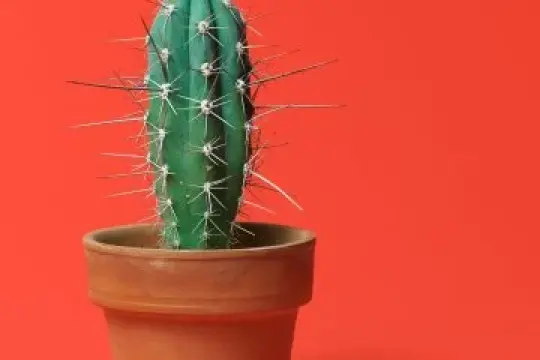 拍摄与发送私密照片的艺术