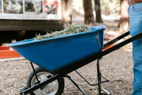 密苏里、佛蒙特和华盛顿州最受欢迎的性爱姿势