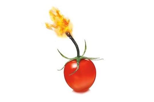 播客第793期：新代谢科学与减重真相