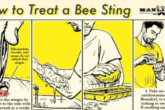 如何处理蜜蜂叮咬