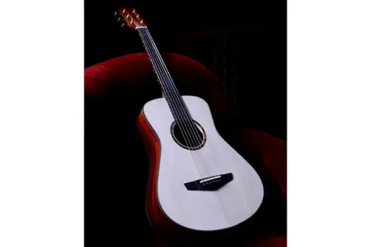 用地球上最稀有木材打造的定制Tempest吉他