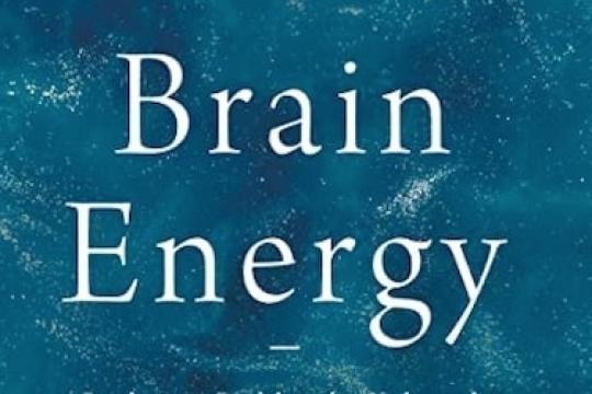 播客#852：精神疾病的脑能量理论