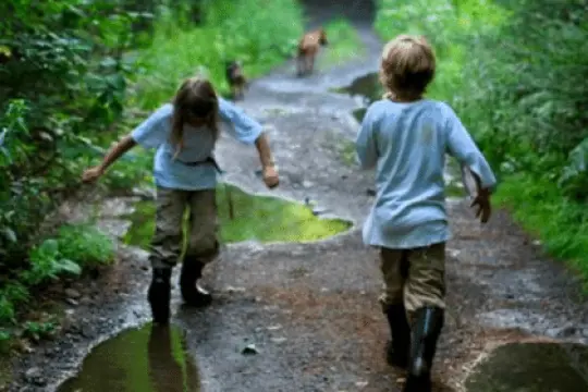 播客#180：打造现代乡村生活