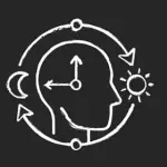 利用生物钟改善睡眠与健康：解锁你的昼夜节律