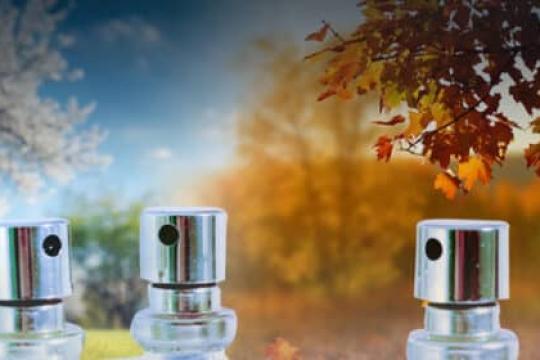 每位男士必备的三款标志性香水