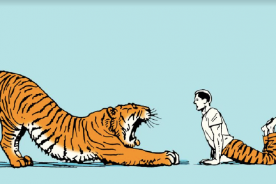 像动物一样醒来：你的晨间拉伸习惯