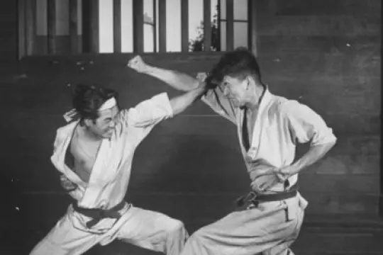 男性武术入门指南：如何开始你的武术之旅