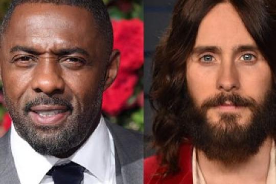 不满意你的发型？试试这些明星推荐的造型吧