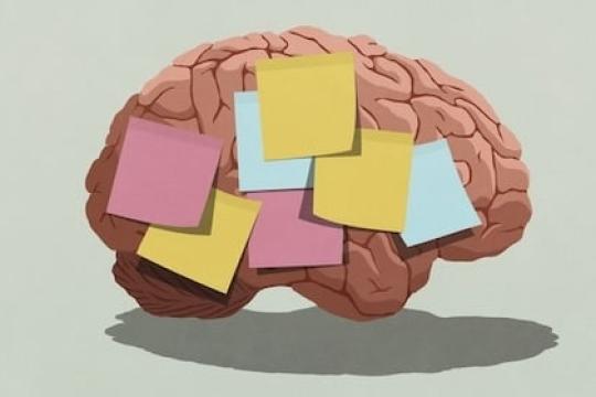 播客#984：为什么你的记忆看起来变差了（不仅仅是年龄的原因）