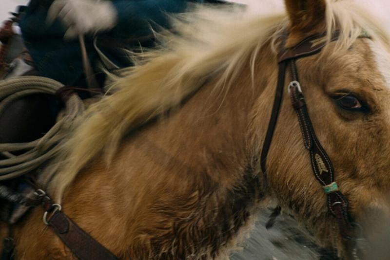 GoPro Mission 1 Line Cinema Camera 5