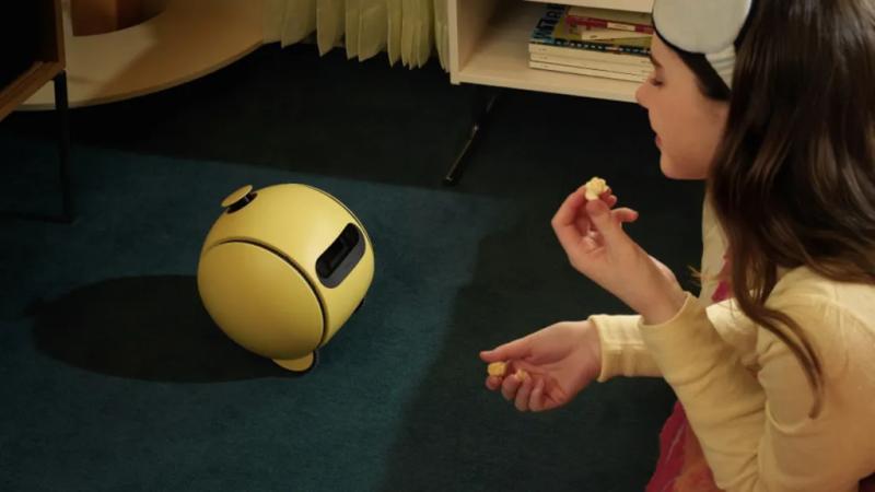 一位用户向三星Ballie机器人提问