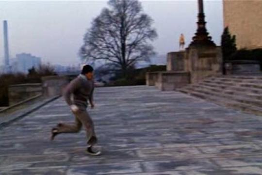 无需器械，燃烧那块派：楼梯锻炼法