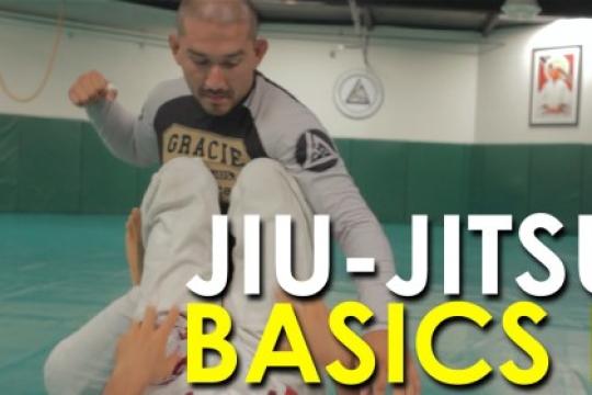 巴西柔术基础动作——第二部分【视频】