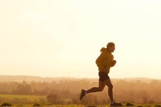健身计划中最缺失的重要环节：Zone 2 有氧训练指南