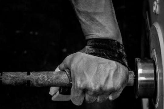 从新手到高手：举重者的成长之路