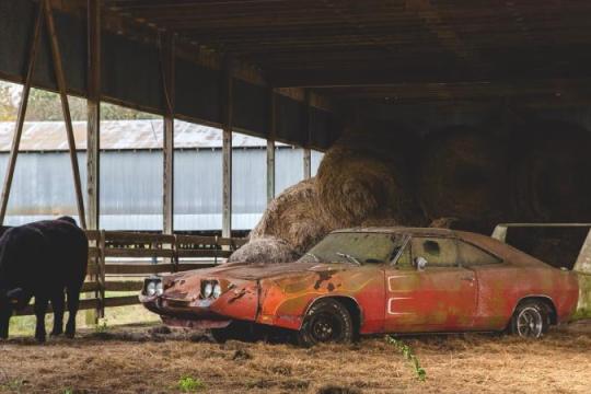 十款经典肌肉车的传奇仓库发现