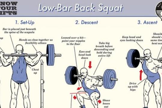 了解你的深蹲：低杠深蹲解析