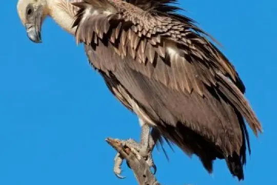 10个全新约会术语，助你丰富恋爱词汇库