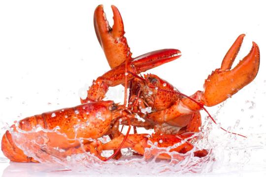 如何展现主导力：应对自信测试的技巧