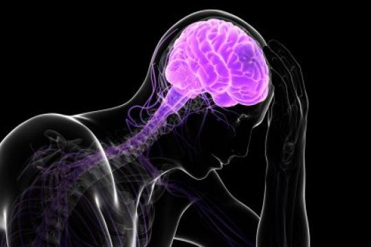 播客第525期：如何让身体和大脑抗压