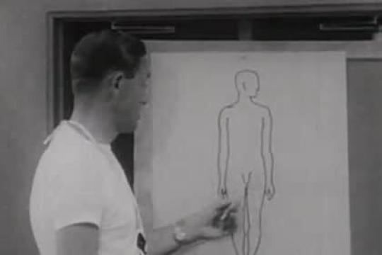 睾酮周：睾酮的生成简明指南