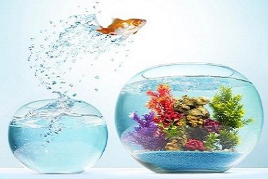 如何真正做到无所谓