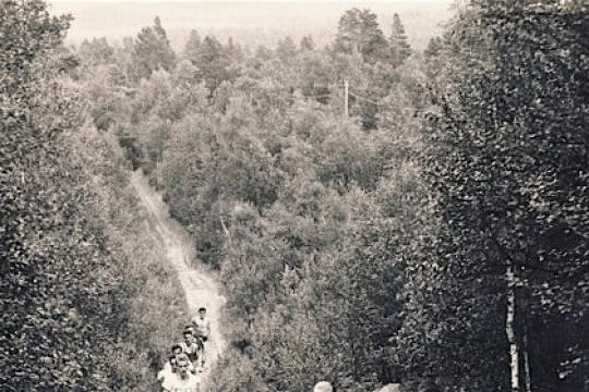 远离柏油路：越野跑入门指南