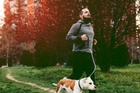 为何应以运动而非饮食作为体重管理的基础