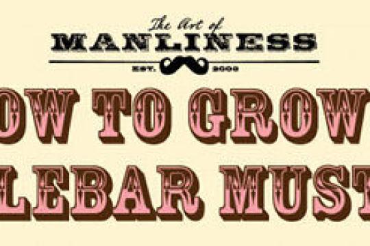 如何留出经典的把手胡须