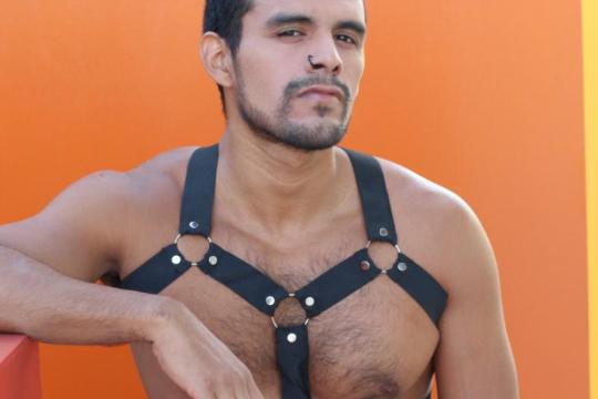 你听过的那些狂野的同志性爱与约会俚语，全面解析