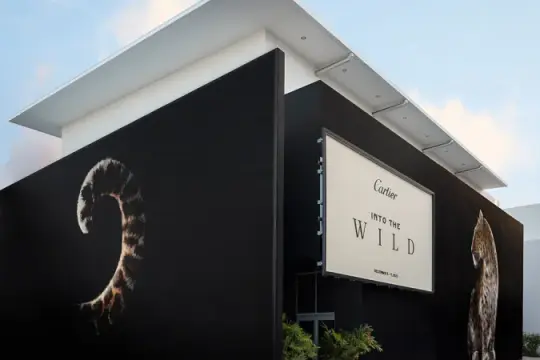 为何全球顶级制表品牌纷纷涌向迈阿密？