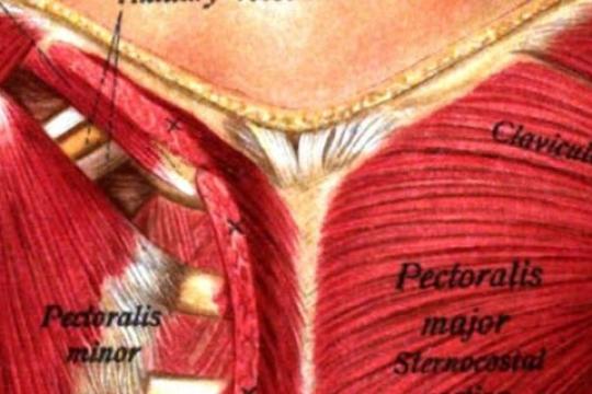 深蹲与运动夹克：杠铃教会我的穿搭哲学