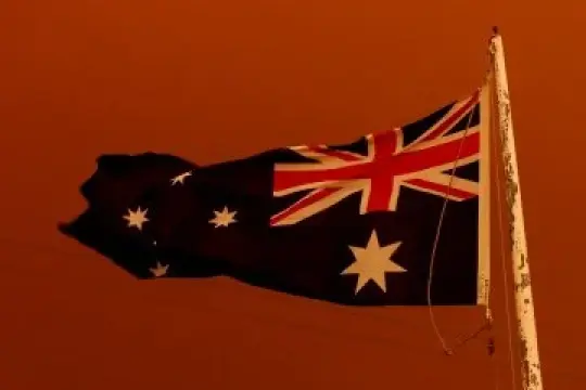 澳大利亚野火肆虐，您可以这样助力保护野生动物