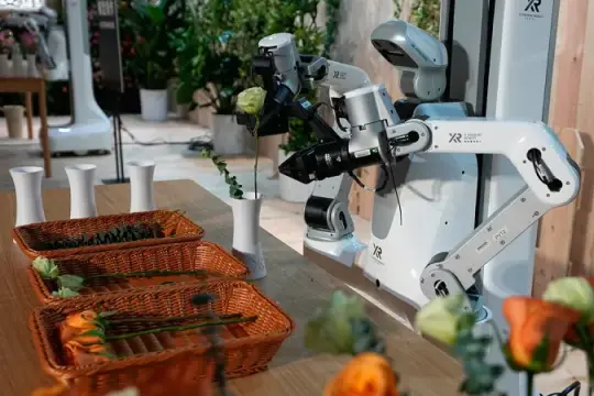 这款新型类人机器人将助力您的家务劳动